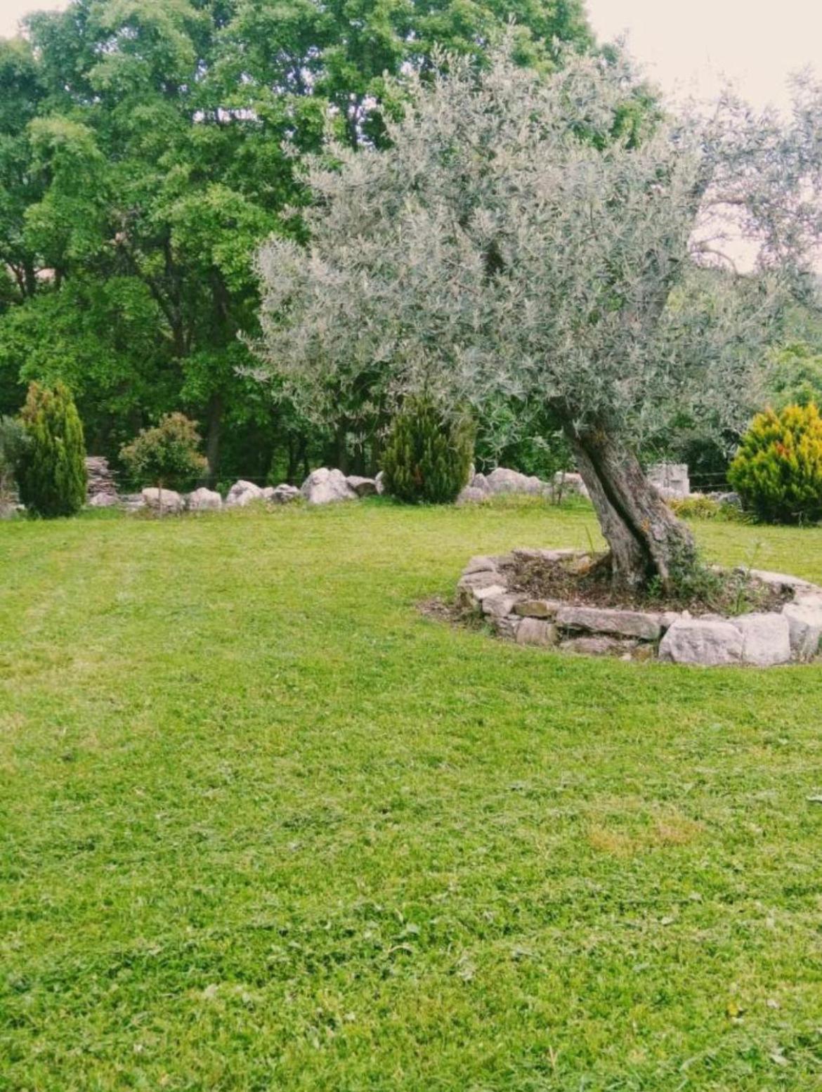 Busso Residence San Martino Appartamento Mini מראה חיצוני תמונה